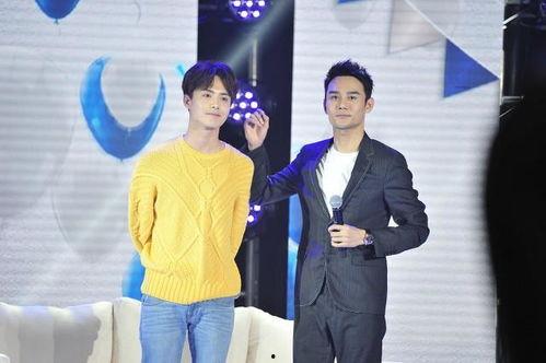 娱乐圈吃瓜爆料合集小说,揭秘幕后真相与爱恨情仇