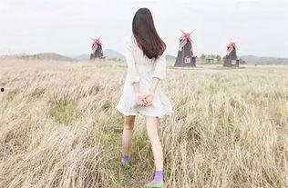 娱乐吃瓜酱背影图片大全,娱乐吃瓜酱背影图片大全揭秘